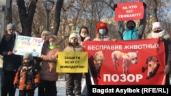 Митинг в поддержку прав животных