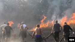 Пожарные и волонтеры борются с огнем вблизи автотрассы Москва - Нижний Новгород. 5 августа 2010 года.