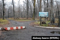 Вход в рощу Баума с юго-запада. На информационном щите написано, что въезд в рощу авто- и мототранспорта запрещен. Алматы. 7 декабря 2015 года.