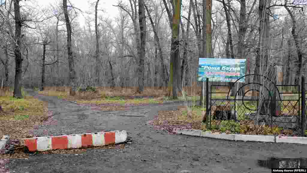 Вход в рощу с юго-запада. На информационном щите написано, что въезд авто- и мототранспорта в рощу запрещен. Алматы, 7 декабря 2015 года.