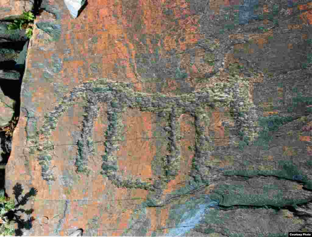 После этого я отправил стреноженную лошадь на пастище. - Kazakhstan – Ancient petroglyphs that suggest domestication of horses on territory of Northern Kazakhstan, photo #4 from "Shynghystaw Petroglyphs" by Mukhtar Magauin